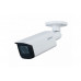 IP Камера DH-IPC-HFW3841TP-ZAS