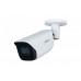 IP Камера DH-IPC-HFW3841EP-AS-0360B